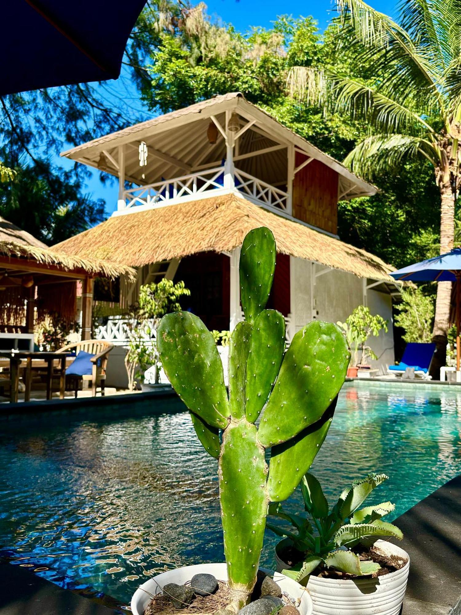 Alibaba Bungalows Gili Air Zewnętrze zdjęcie